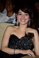 Tamanna Spicy Photos